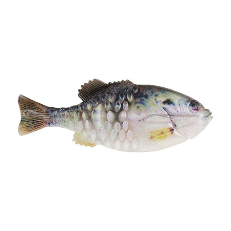 BERKLEY POWERBAIT GILLY - Copperstate Tackle