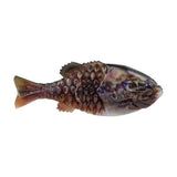 BERKLEY POWERBAIT GILLY - Copperstate Tackle