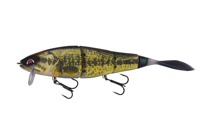 Galapagos Grace 210L
