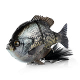 Savage Gear 3D Line Thru Bluegill OG