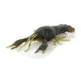 Savage Gear Toughtec NED Craw