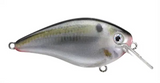 Strike King KVD 1.5 Squarebill