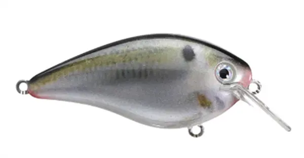 Strike King KVD 1.5 Squarebill
