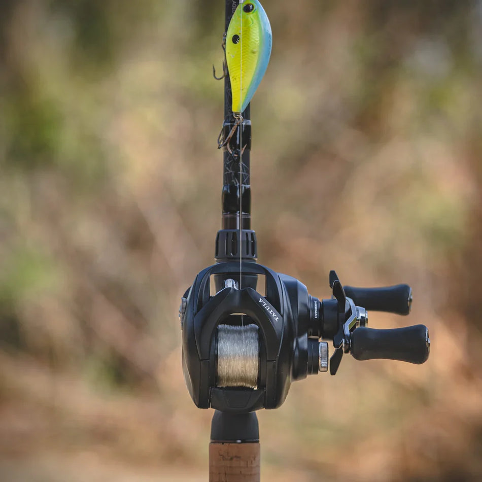 Daiwa Tatula 150 2025 Casting Reel