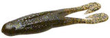 Zoom Horny Toad