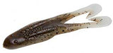 Zoom Horny Toad