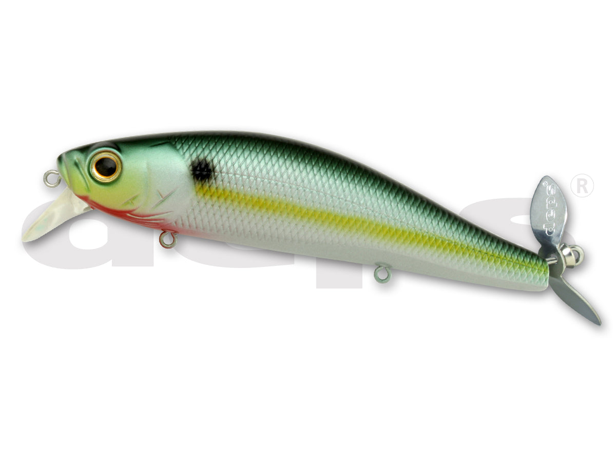 Deps Spiralminnow