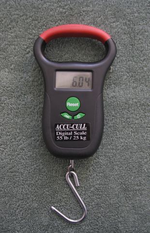 Accu-Cull Digital Scale