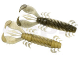 Deps Ms Craw