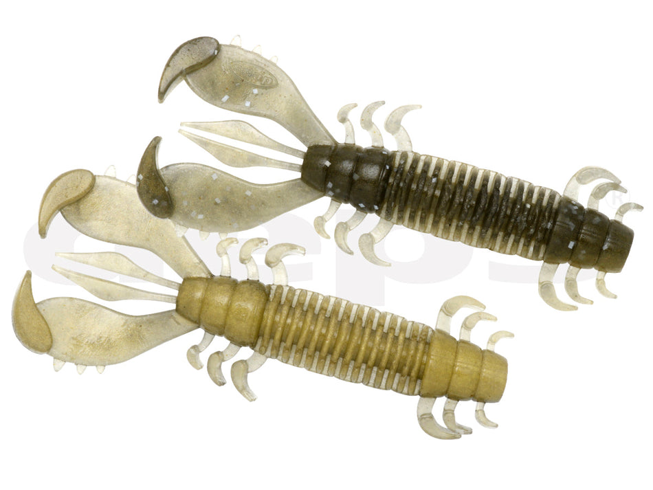 Deps Ms Craw