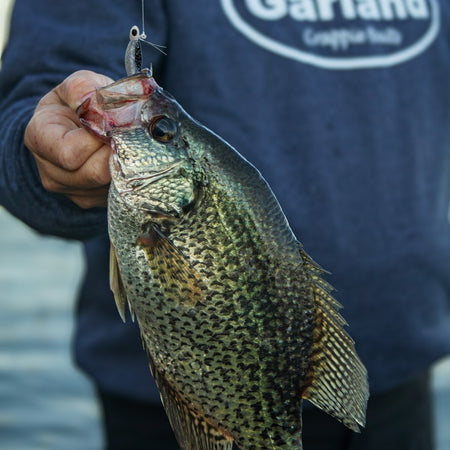 Bobby Garland Baby Shad 2"