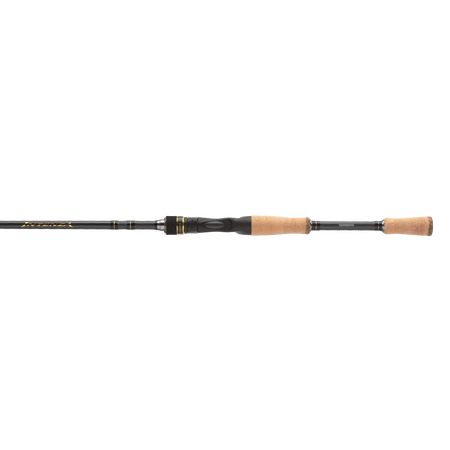 Shimano Intenza Casting NTZC69MA 6'9" M - primary