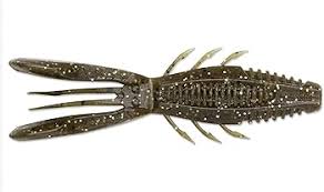 Rapala Crush City Bronco Bug