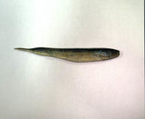 Missile Baits Freedom Flyer