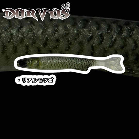YG.labo Dorvus Real 3.0