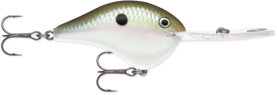 Rapala Dt Metal 20 Crankbait