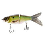 SPRO Kgb Chad Shad 120 Lil Guy