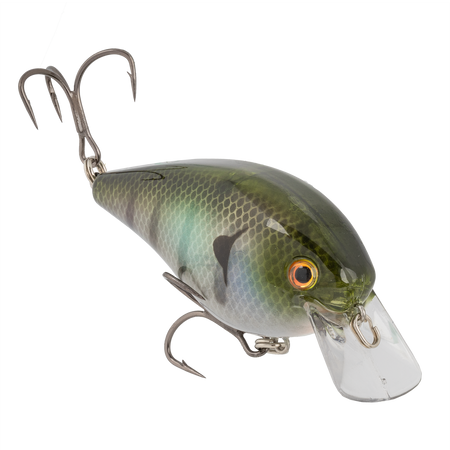 Strike King KVD Elite 4.0 Squarebill