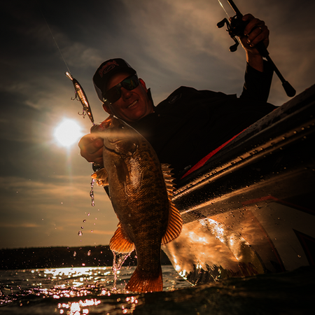 Strike King KVD Jerkbait 300 Deep