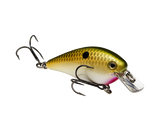 Strike King KVD 1.0 Squarebill