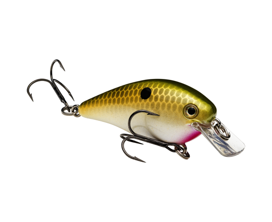 Strike King KVD 1.0 Squarebill