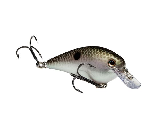 Strike King KVD 1.0 Squarebill