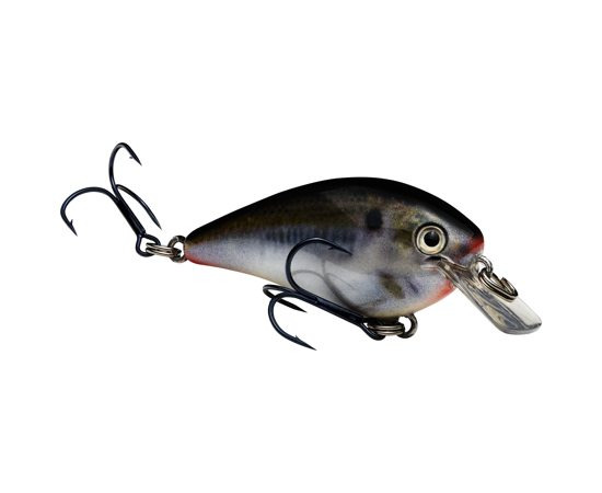 Strike King KVD 1.0 Squarebill