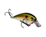 Strike King KVD 2.5 Squarebill