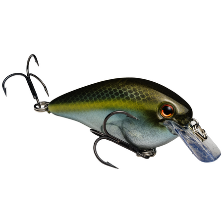 Strike King KVD Squarebill 1.5 Deep Crankbait