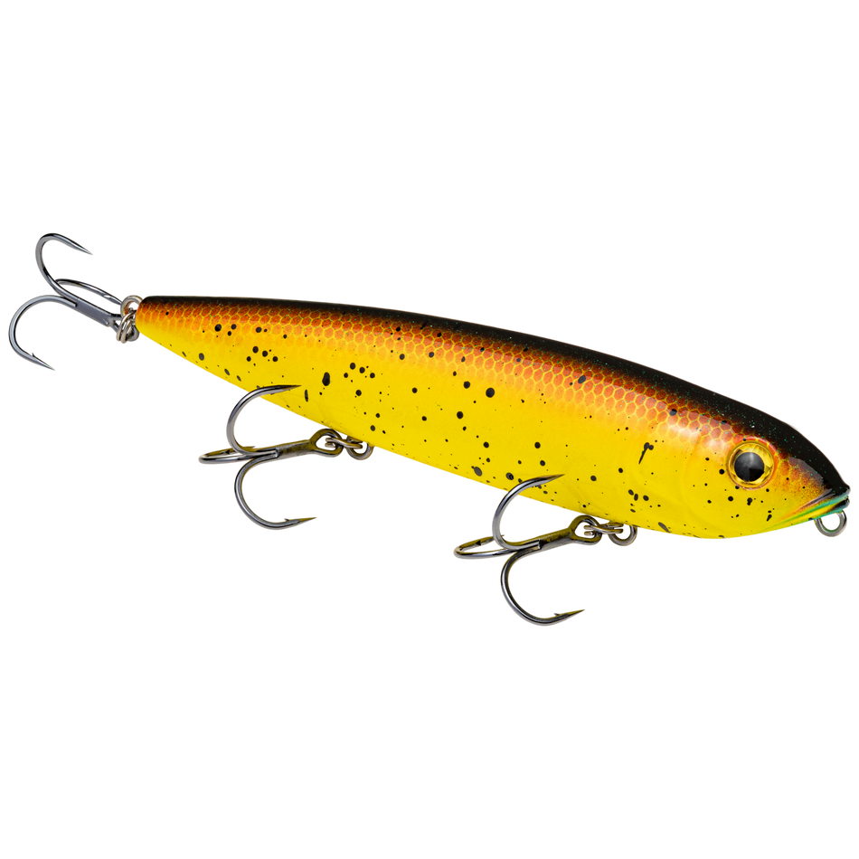 Strike King KVD Sexy Dawg Hard Knock Topwater