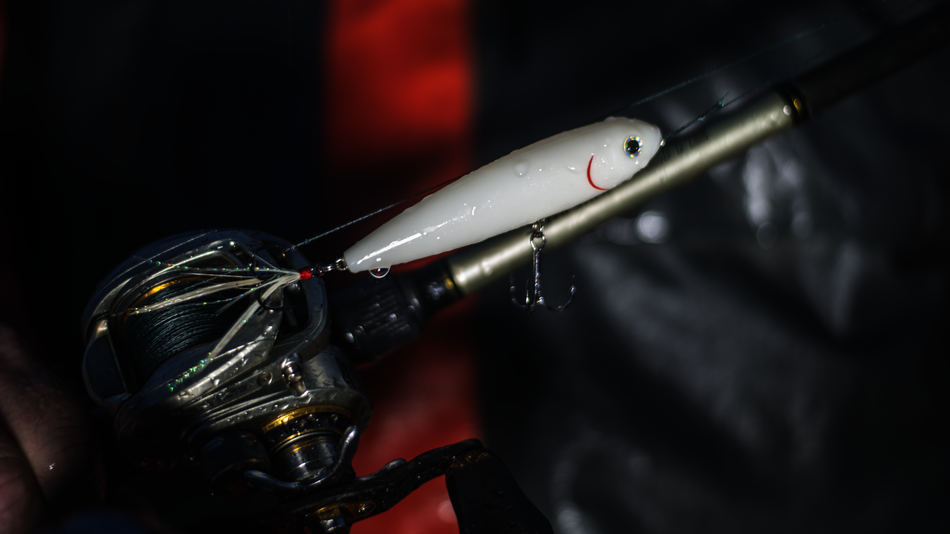 Strike King KVD Sexy Dawg Jr. Topwater