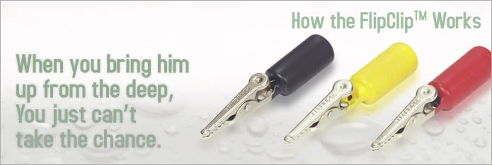FlipClip Fish Stabilizing Fin Clip 3-Pack