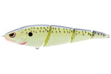 SPRO Sashimmy Swimmer 125