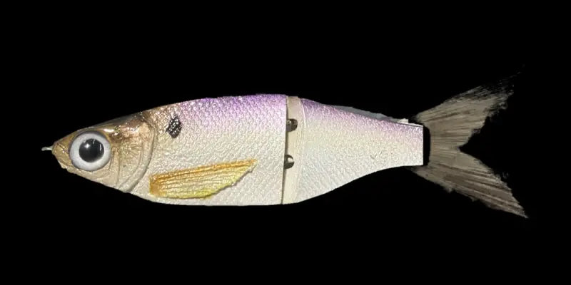 KGB 5" Resin ChadShad "Royal Shad"