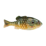 BERKLEY POWERBAIT GILLY - Copperstate Tackle