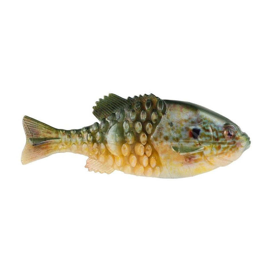 BERKLEY POWERBAIT GILLY - Copperstate Tackle