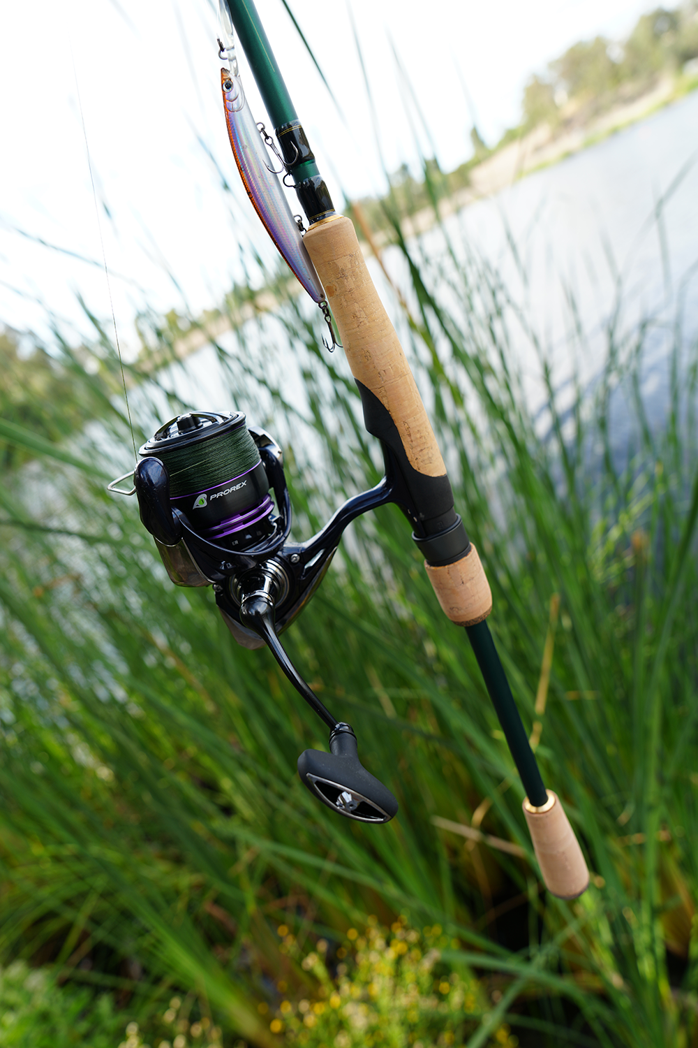 Daiwa Prorex X LT Spinning Reel