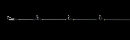 Daiwa Prorex Stein Musky Rod