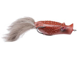 Deps Buster K