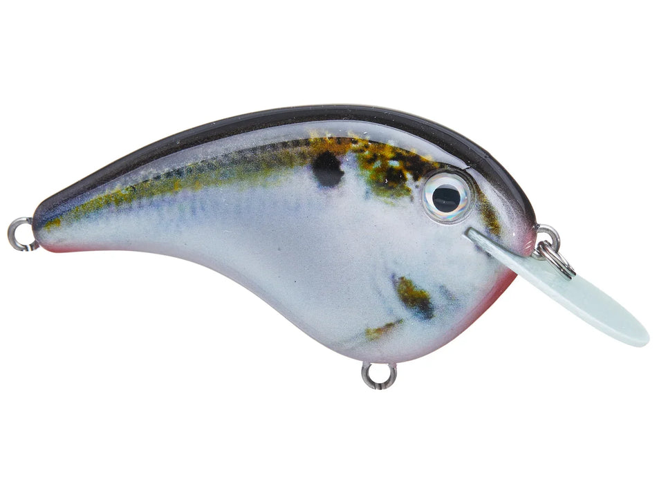 Strike King Chick Magnet Flat Side Crankbait
