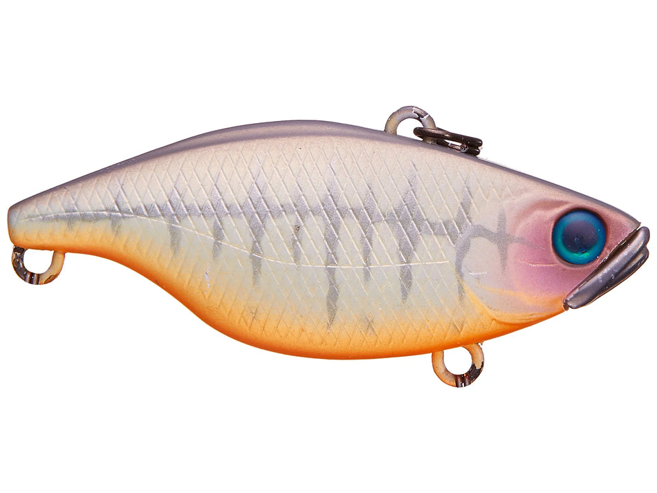 Jackall TN/50