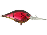 Berkley Dime 10 Crankbait