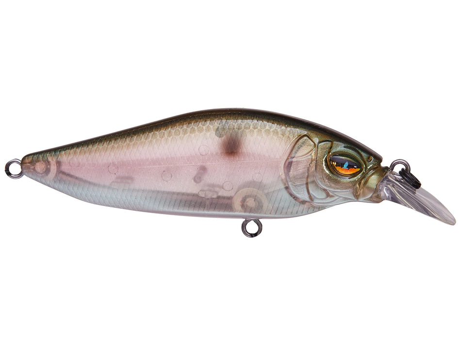 Megabass Flapslap