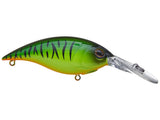 Berkley Money Badger