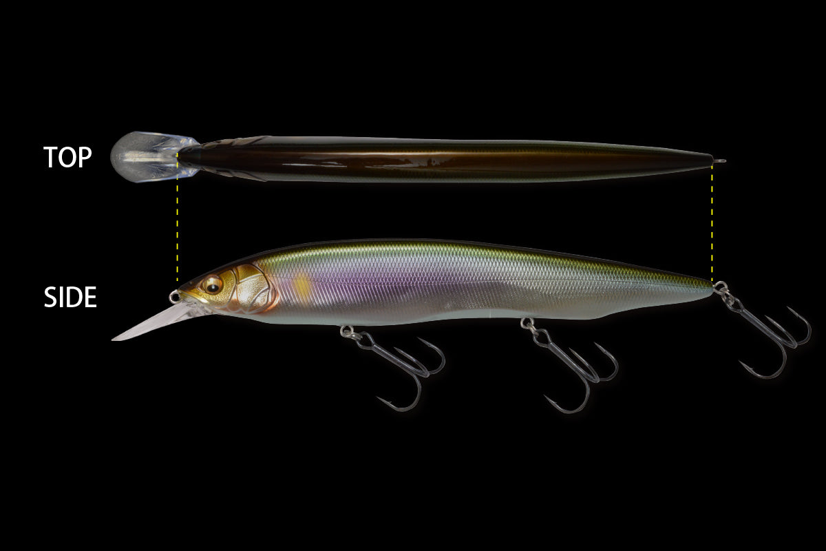 Megabass Kanata+1