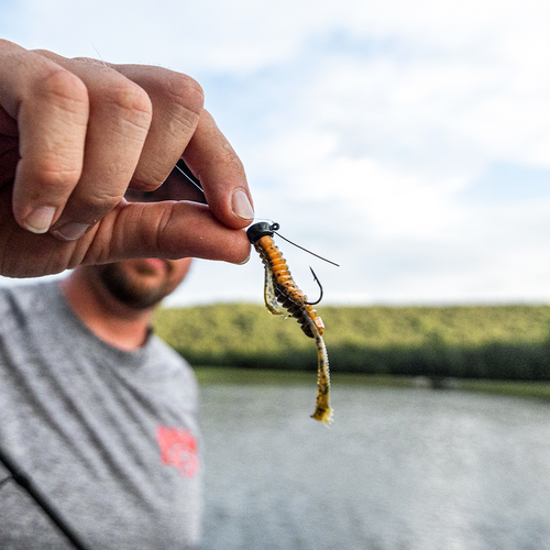 Strike King Tour Grade Ned Rig Weedless Head