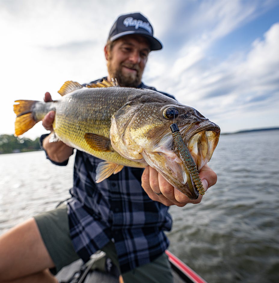 VMC Ned Rig Jig