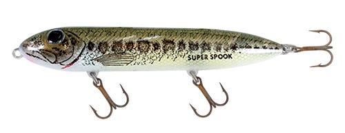 Heddon Super Spook 5"
